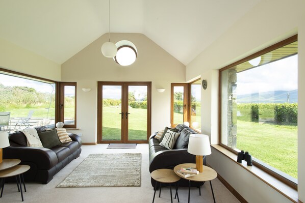 TV, fireplace, books