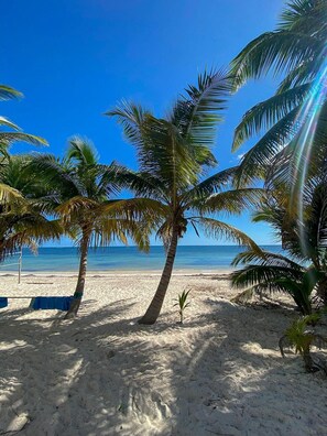 Una playa con palmeras y un cielo azul despejado.