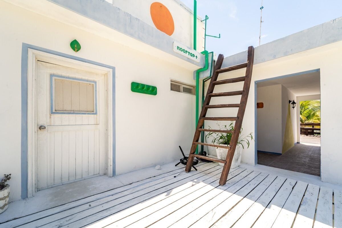 A white building with a wooden door, a green sign, and a wooden ladder leaning against it.