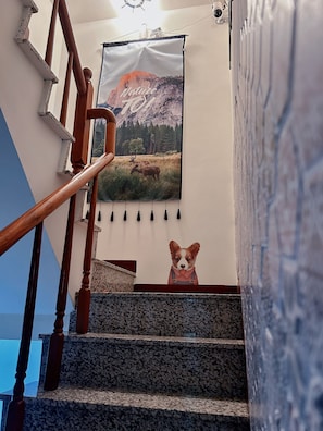 Staircase with a handrail and steps, featuring a Nature Trail poster above.