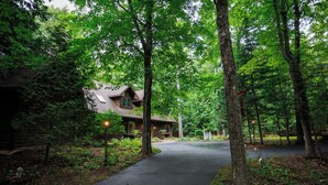 A cabin surrounded by dense forest, a paved driveway, and a small porch area.
