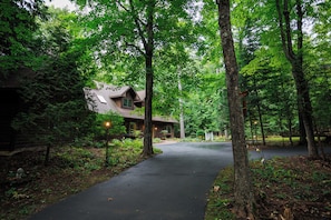 A cabin surrounded by dense forest, a paved driveway, and a small porch area.