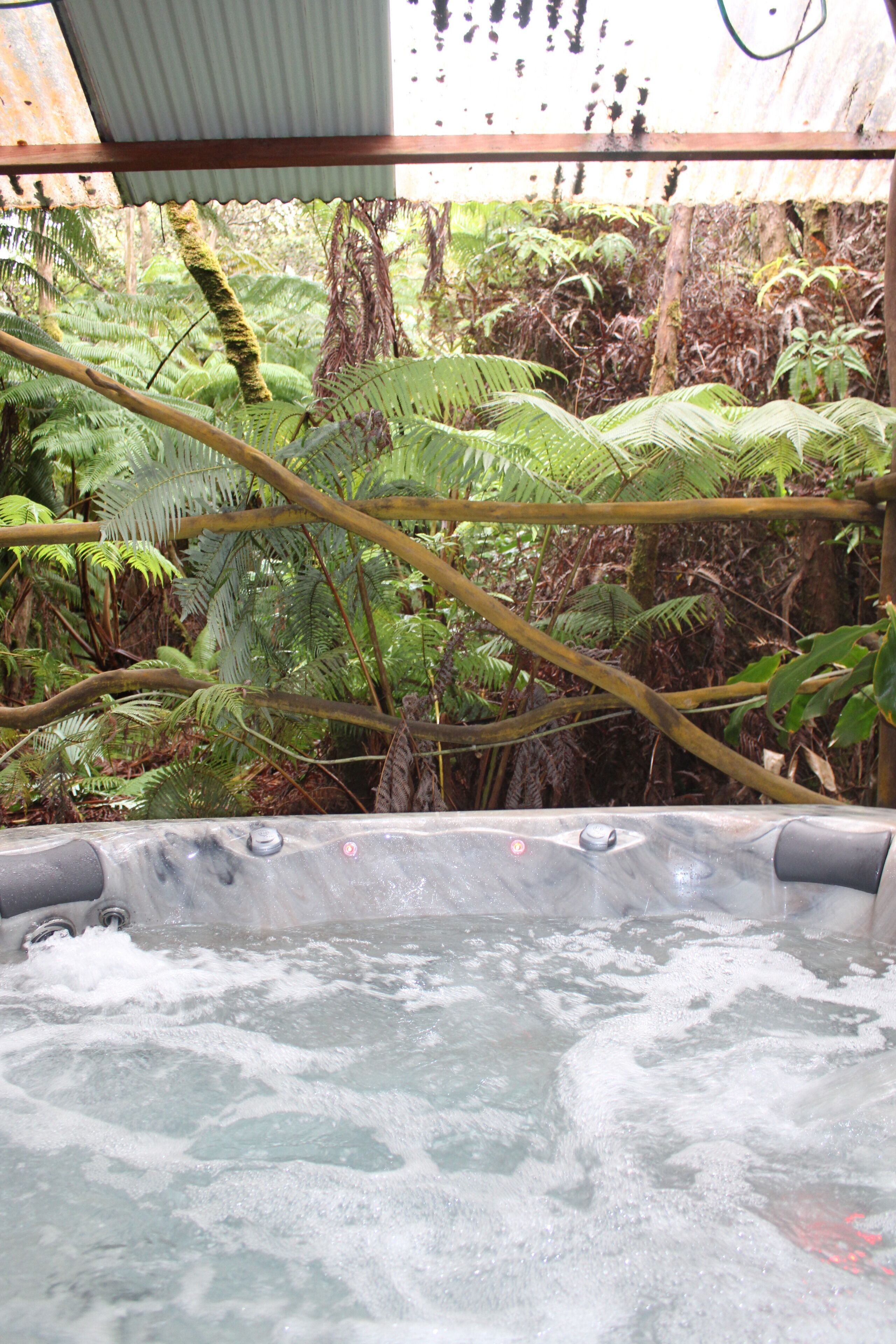 A hot tub surrounded by lush ferns and trees, with a metal roof overhead.