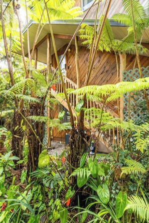 Un exuberante jardín con helechos y plantas tropicales, terraza de madera y una casa de madera con techo inclinado.