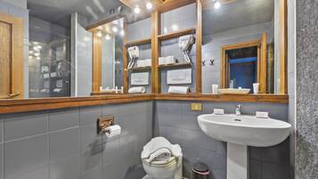 Shower, hair dryer, bidet, towels