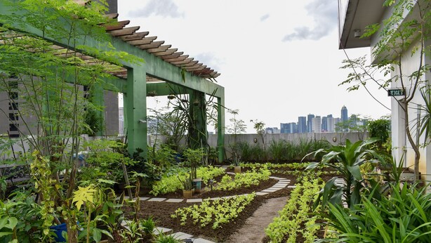 A rooftop garden with a pergola, various plants, and a city skyline in the background. - The Boni Tower By Rspl (Mandaluyong)