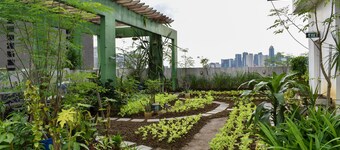 The Boni Tower By Rspl