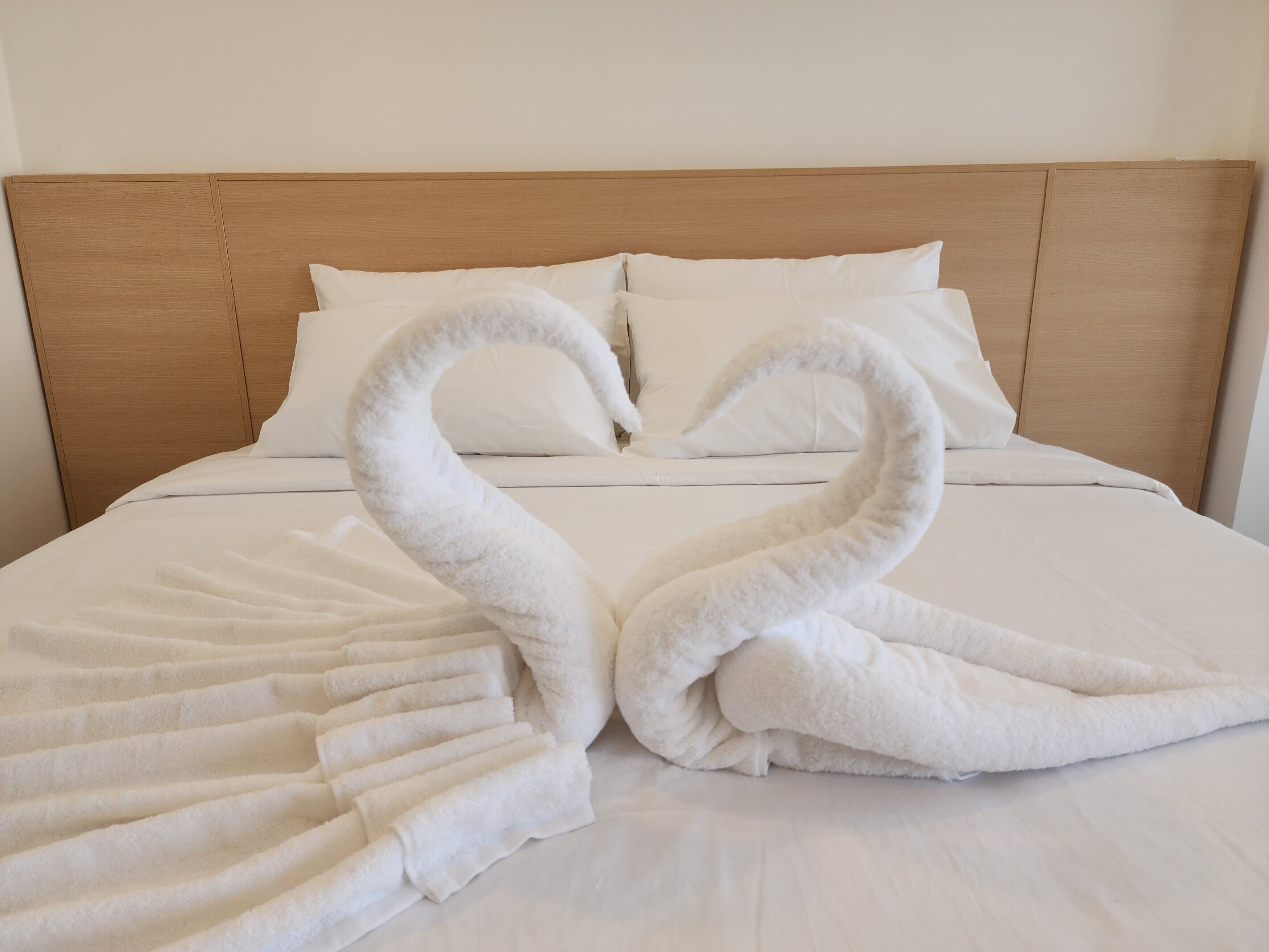 Foto - Arsh Boutique Hotel