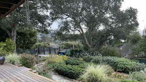 A wooden deck with a garden area featuring various plants and a small shed. - Garden apt. above the beach close to hiking trails and beach. (Stinson Beach)