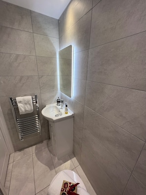 Shower, hair dryer