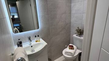 Shower, hair dryer