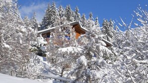 Ein mit Schnee bedecktes Chalet mit Holzfassade und einem sichtbaren Balkon.