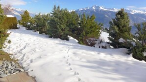 Ein verschneiter Pfad führt zu einer Aussicht auf die Berge, umgeben von immergrünen Bäumen.