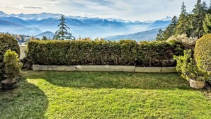 Un jardin offrant une vue sur des montagnes enneigées.