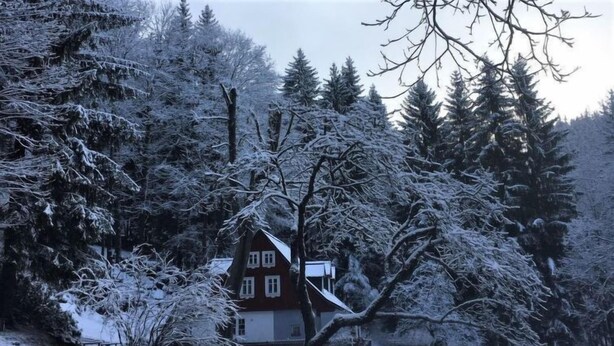 Paisaje nevado con una casa rodeada de árboles.
