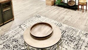 A modern living room with a grey sofa, a wooden coffee table, and a black metal shelving unit with plants. - Stay right downtown at a historical updated property (Albany)