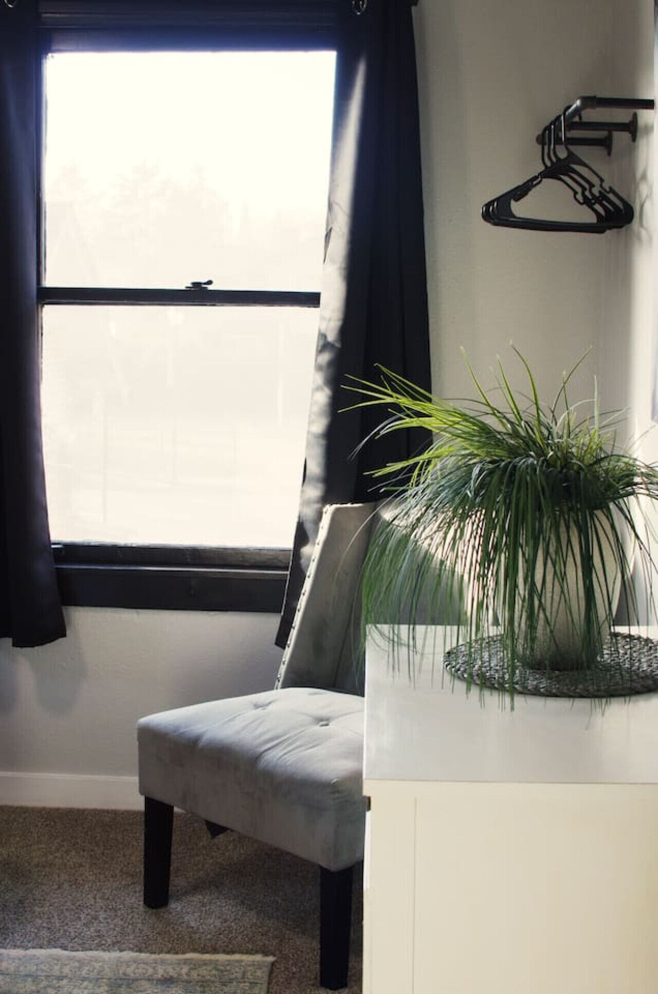 Een kamer met een raam, een stoel, een plant en een kapstok.