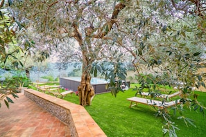 Parco della struttura