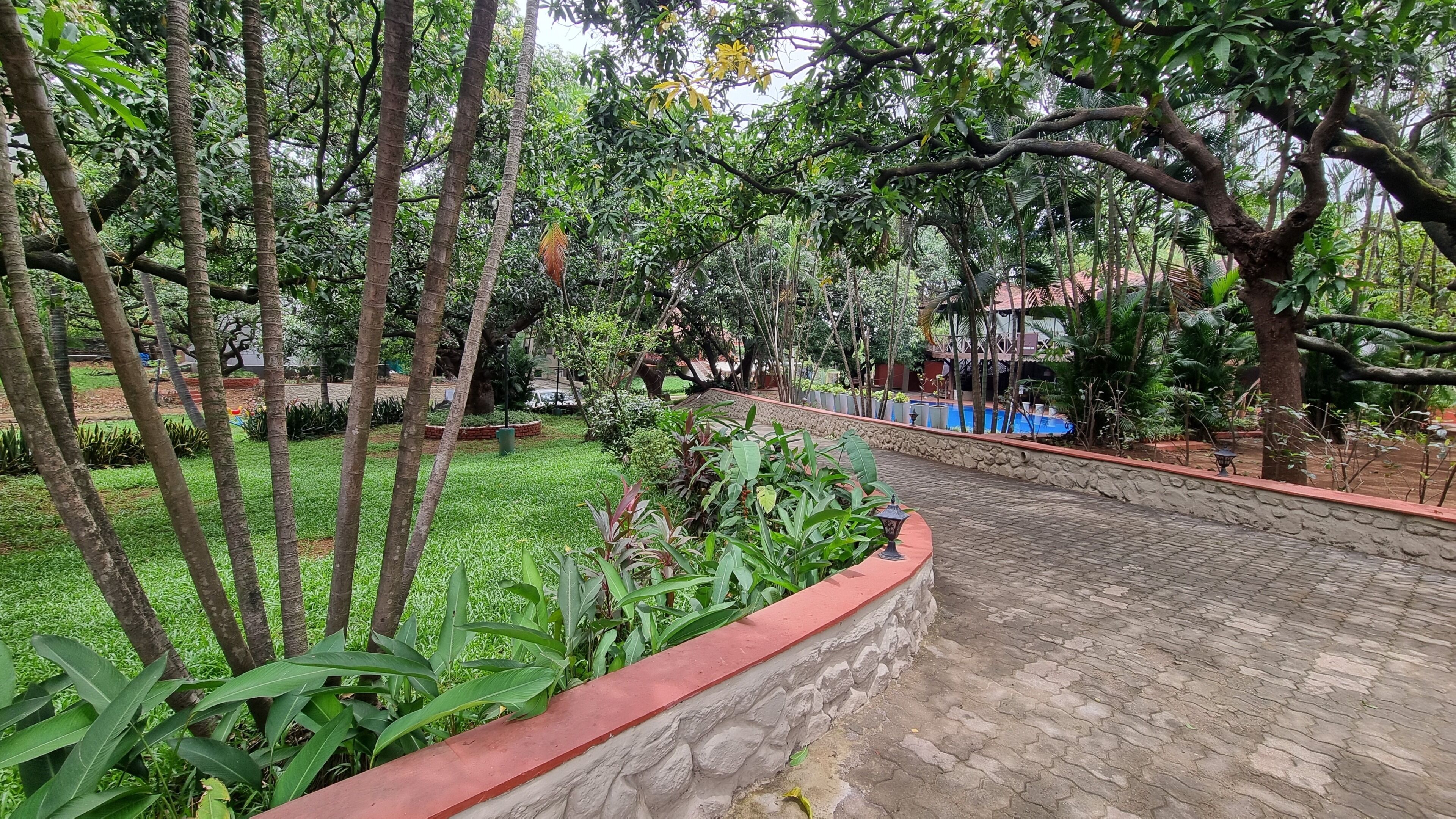 Un sendero pavimentado, abundante vegetación y un muro de piedra.