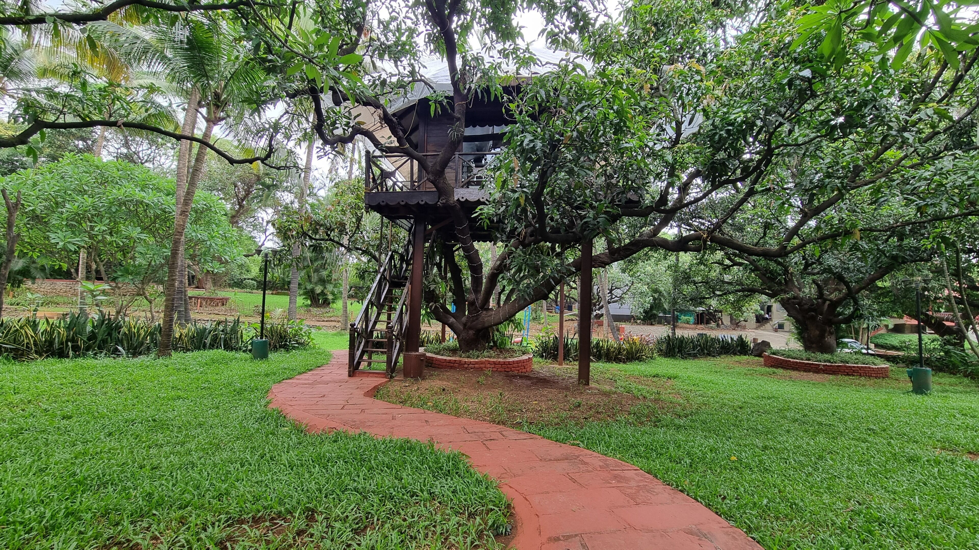 Um jardim com um caminho de tijolos vermelhos que leva a uma estrutura de casa na árvore.