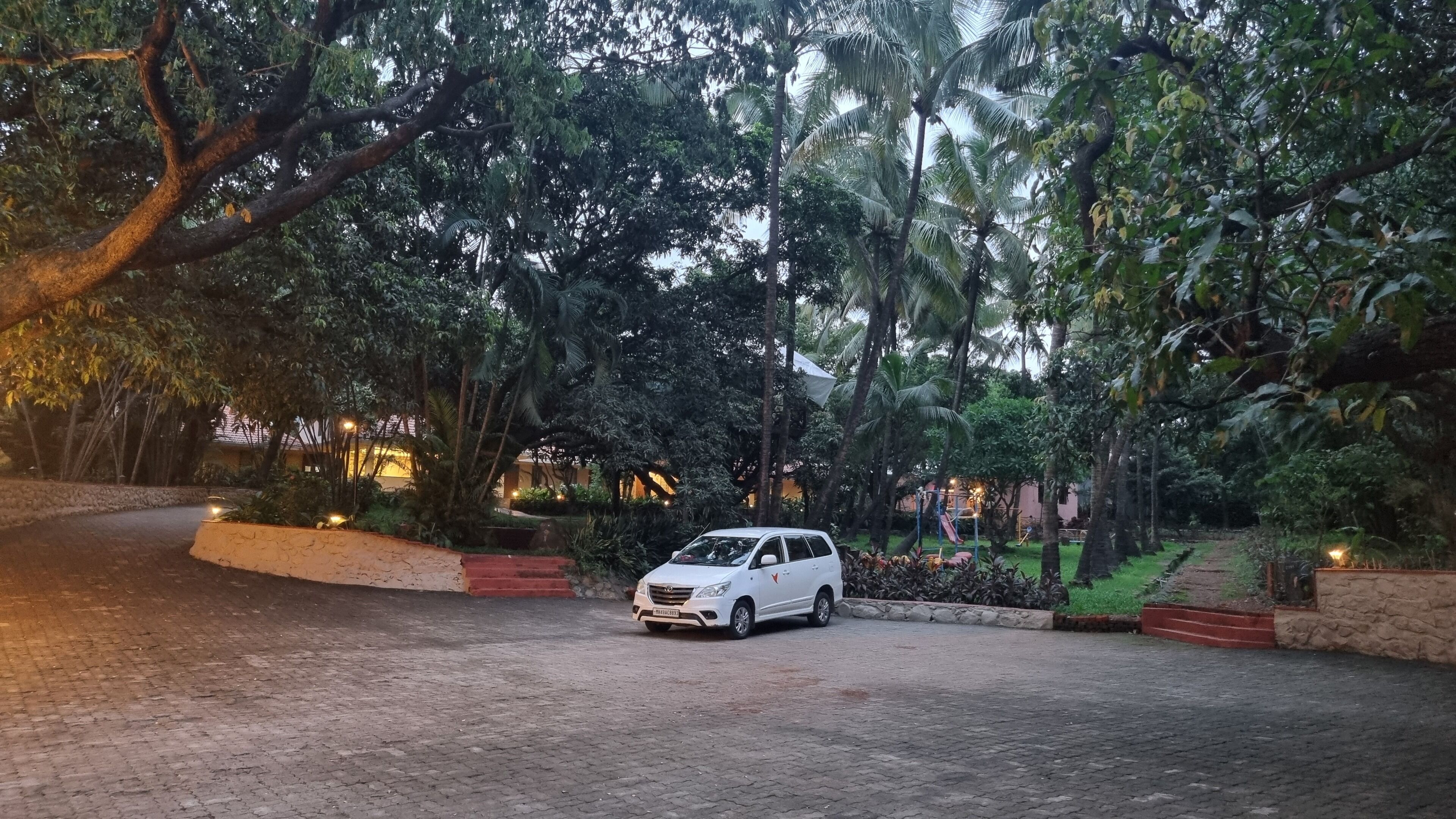 A white car parked in a paved driveway surrounded by lush greenery and trees.