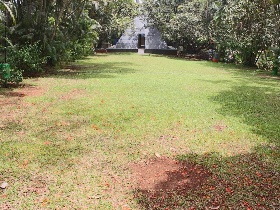 A grassy area with a small building in the center, surrounded by trees.