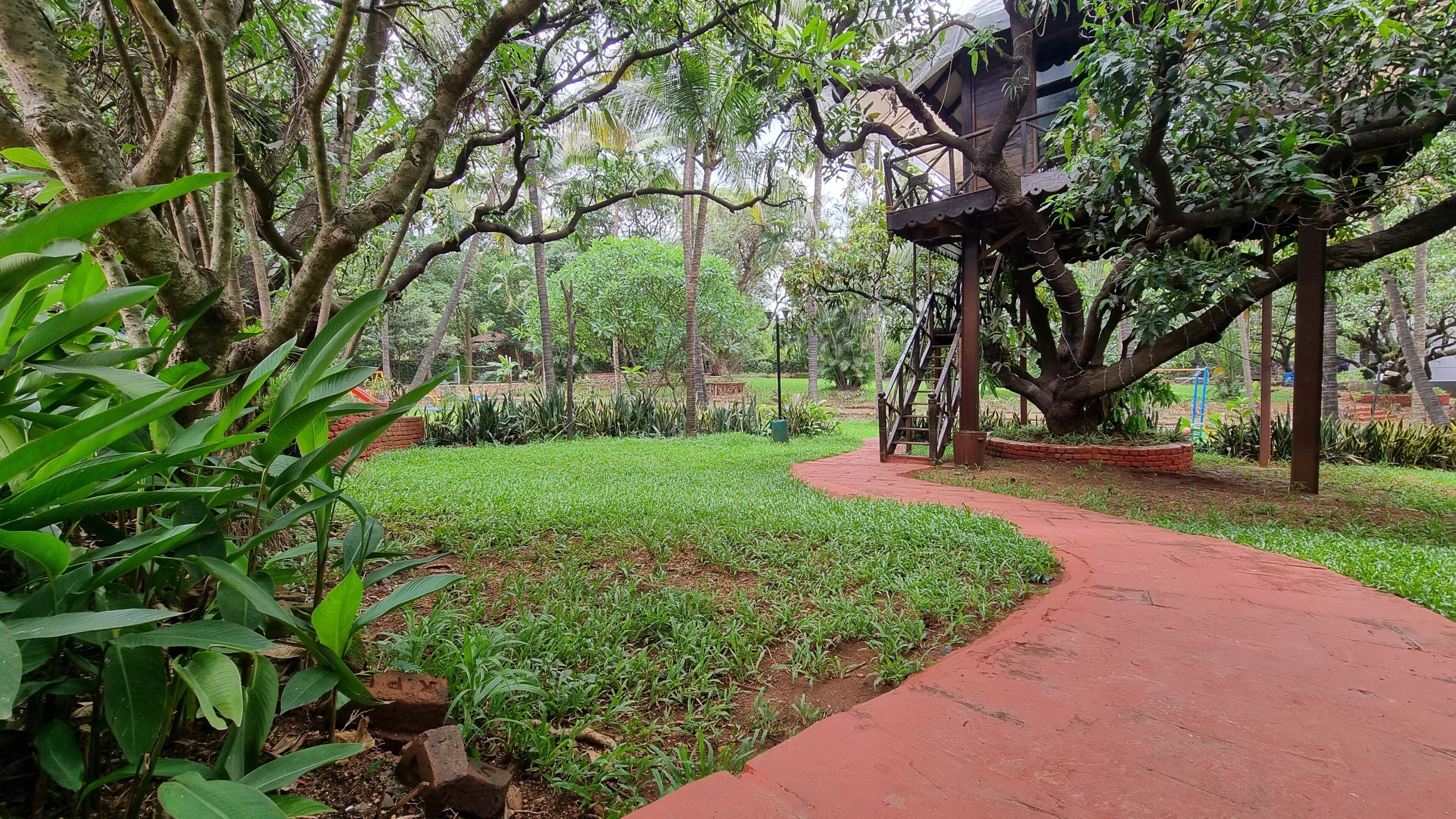 A garden with a paved walkway, lush greenery, and a wooden structure.