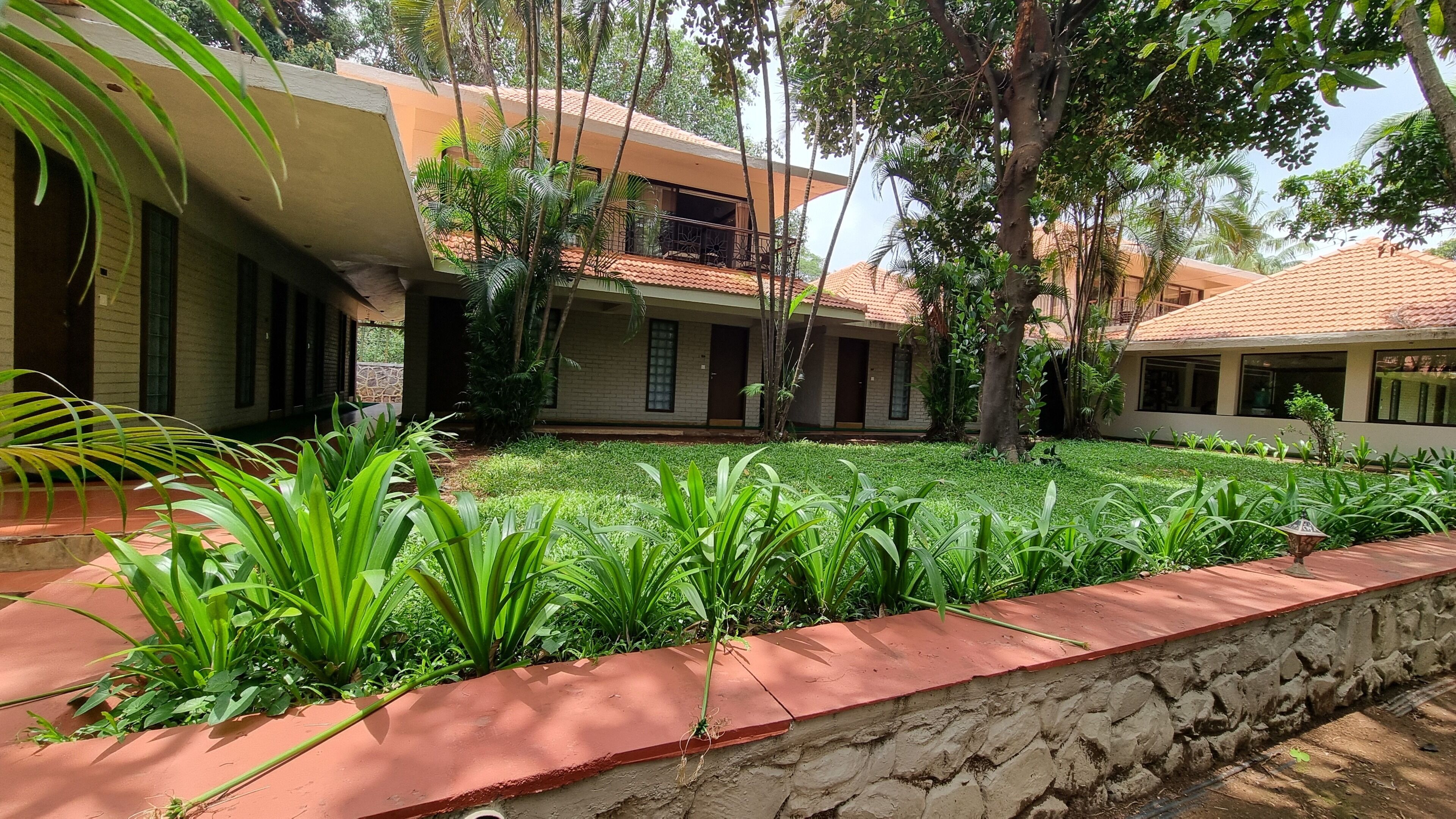 A courtyard with a stone wall, green plants, and a building with a tiled roof.