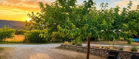 Un chemin de gravier mène à un espace aménagé avec deux fauteuils de jardin, un mur de pierre et un arbre aux feuilles vertes.
