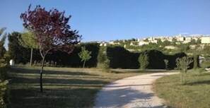 Property grounds - Views of Sault, cycling, hiking, Mont Ventoux (Sault)