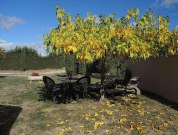 Eine Terrasse mit Sitzgelegenheiten im Freien, einem kleinen Baum und einer Hecke im Hintergrund.