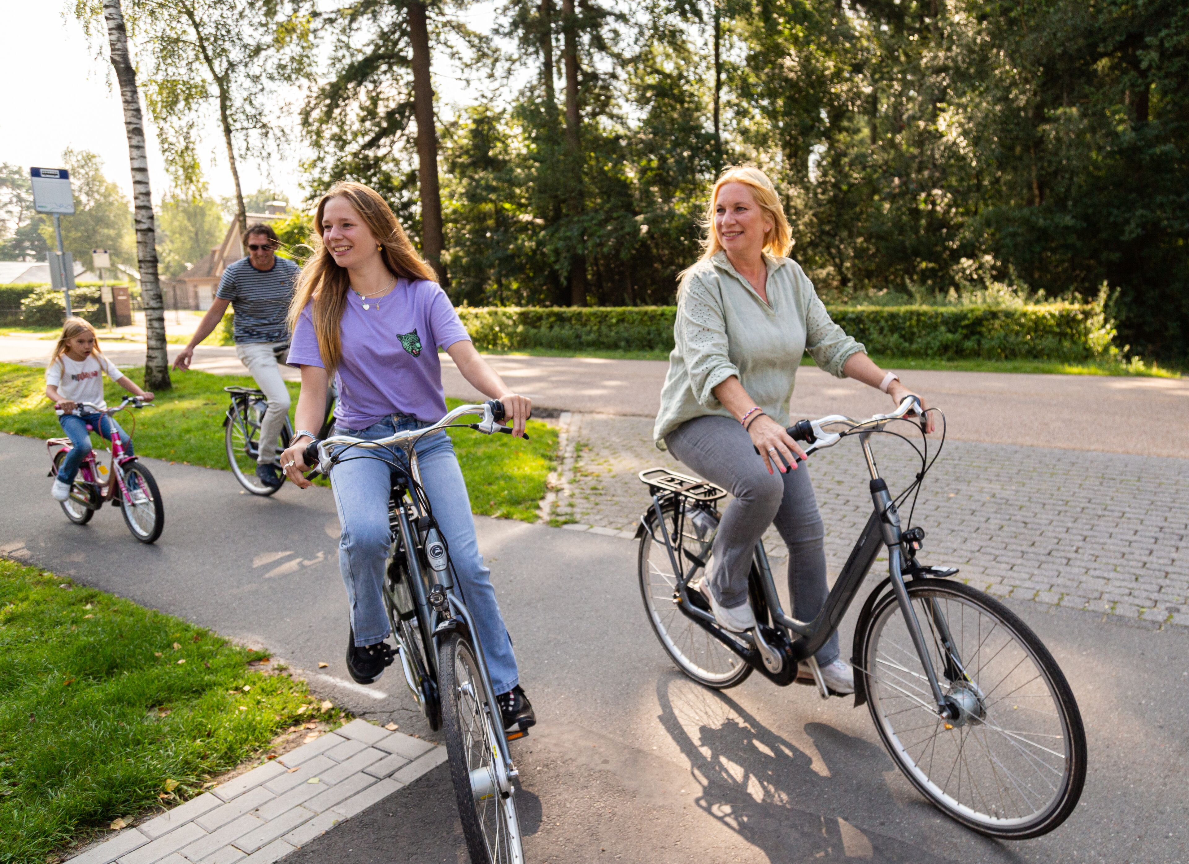 A paved pathway with bicycles, trees, and a grassy area.