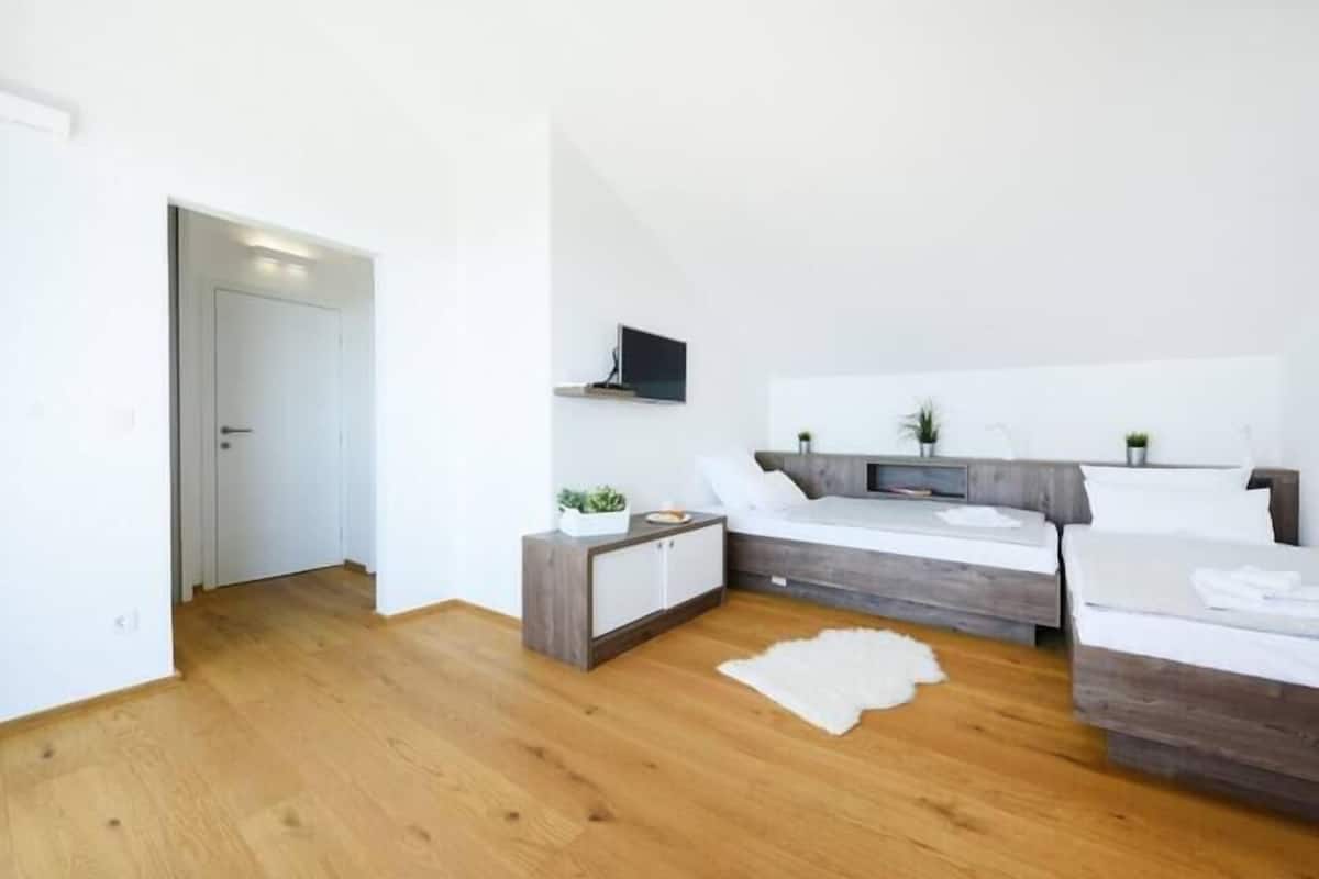 Ein modernes Schlafzimmer mit Holzboden, zwei Betten, einem Nachttisch, einem Fernseher und einer kleinen Pflanze.