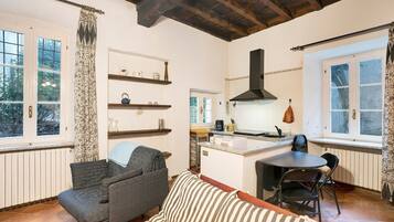 TV, fireplace, stereo