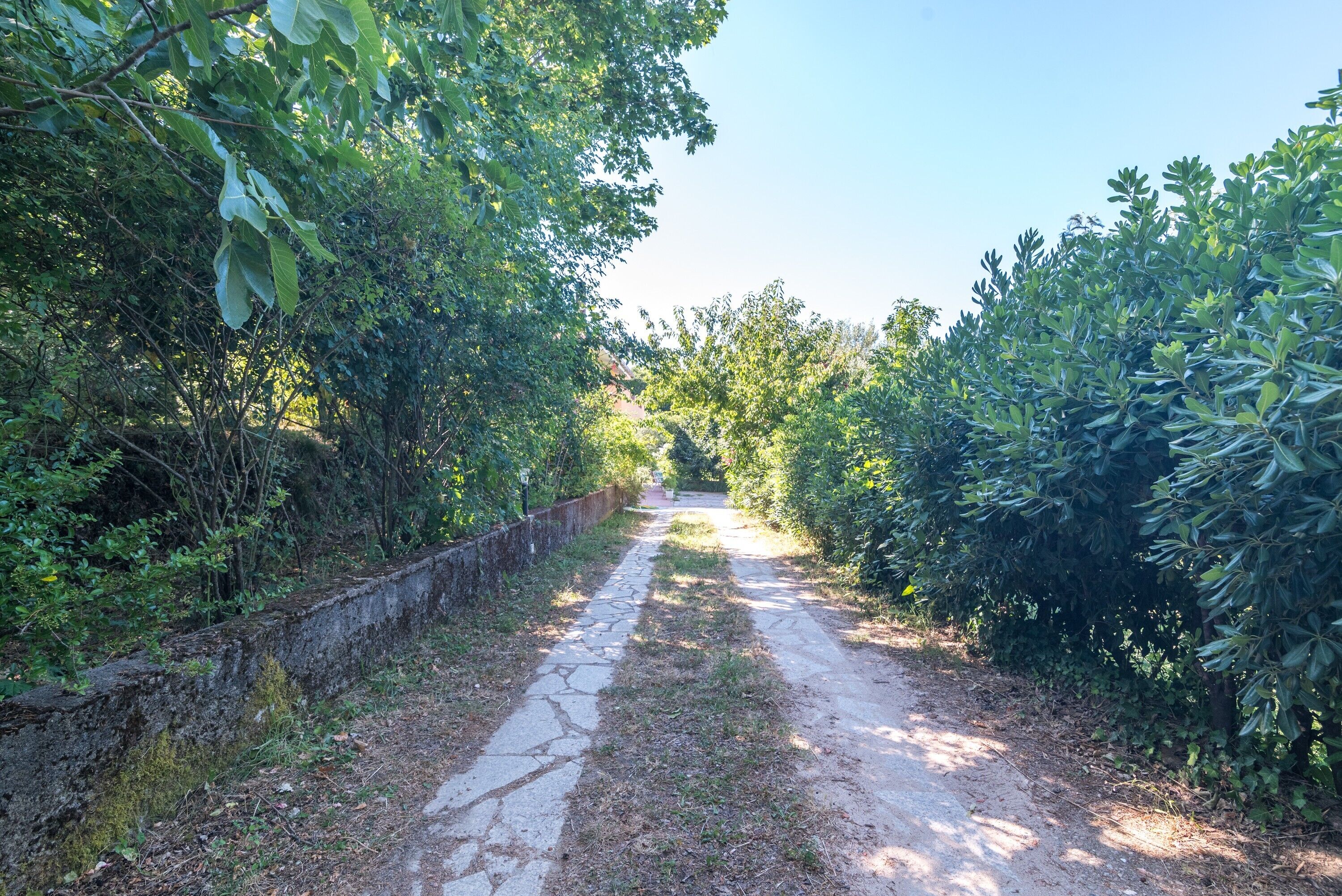 Parco della struttura