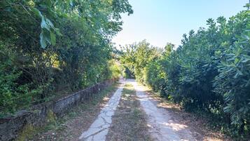 Parco della struttura