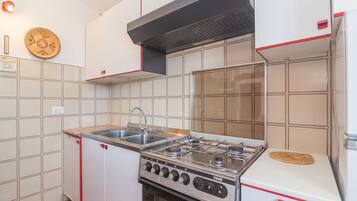 Fridge, oven, stovetop, electric kettle