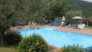 A swimming pool with lounge chairs and umbrellas, surrounded by greenery and trees.