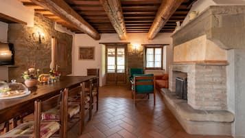 TV, fireplace