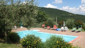 Ein Schwimmbecken mit Liegestühlen und einem Baum im Vordergrund.