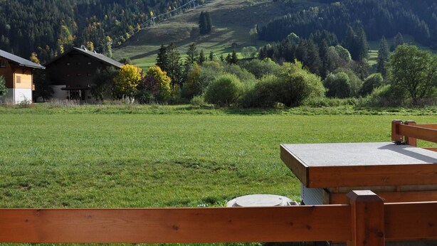 A wooden bench in a grassy field with a mountain backdrop.