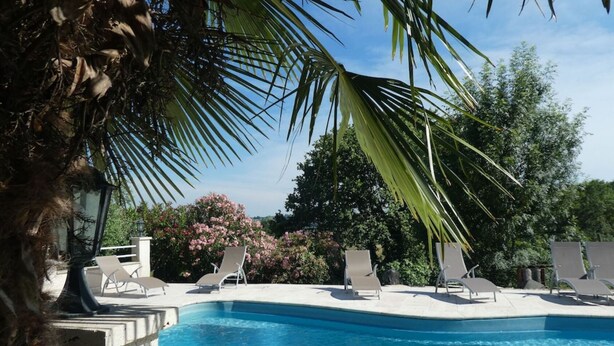 Una piscina con sillas de descanso y una palmera.
