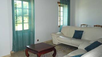 Télévision, lecteur de DVD, table de tennis de table, livres