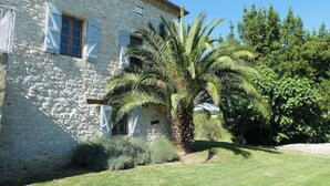 A stone building with white shutters and a palm tree in the front yard.