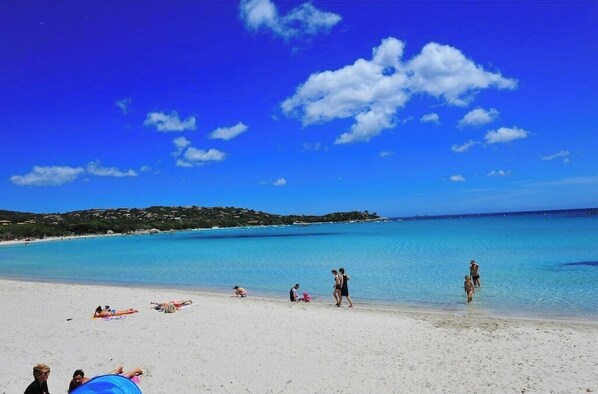 Plage à proximité, chaises longues, serviettes de plage