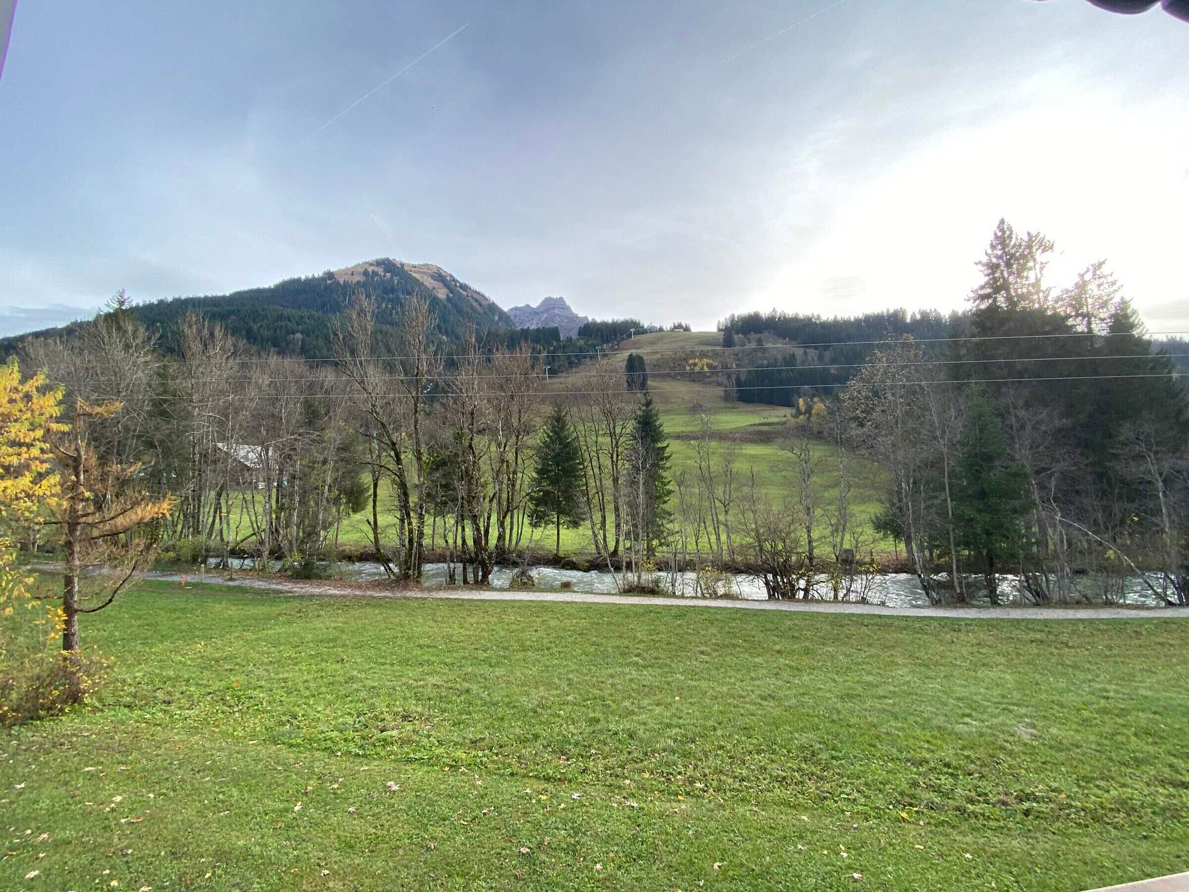 Un champ herbeux avec une rivière et des arbres, une montagne en arrière-plan et des lignes électriques.