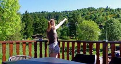Family chalet in La Bresse, near hiking trails, WIFI, pets allowed
