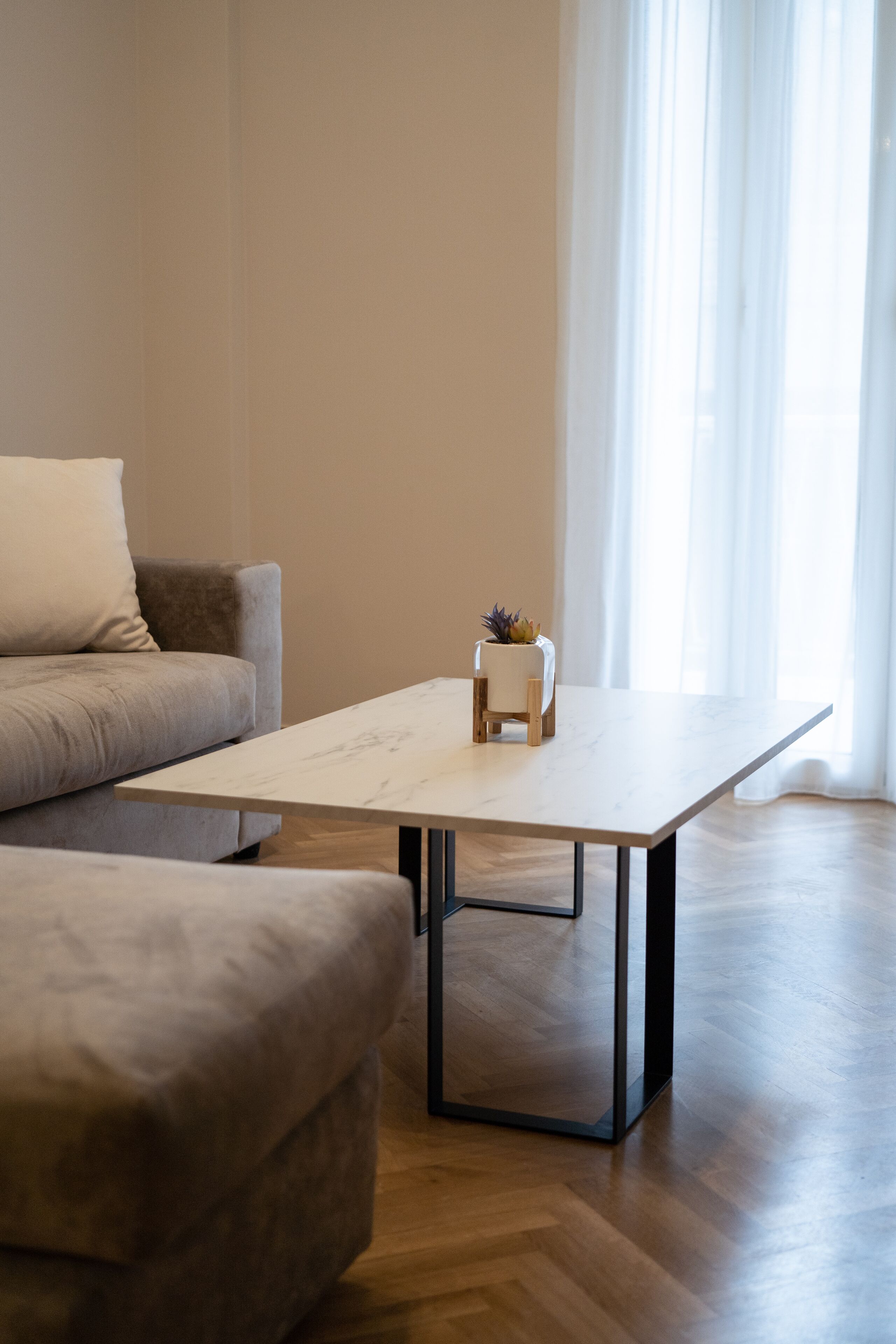 A modern living room with a sofa, a coffee table, and a small plant.