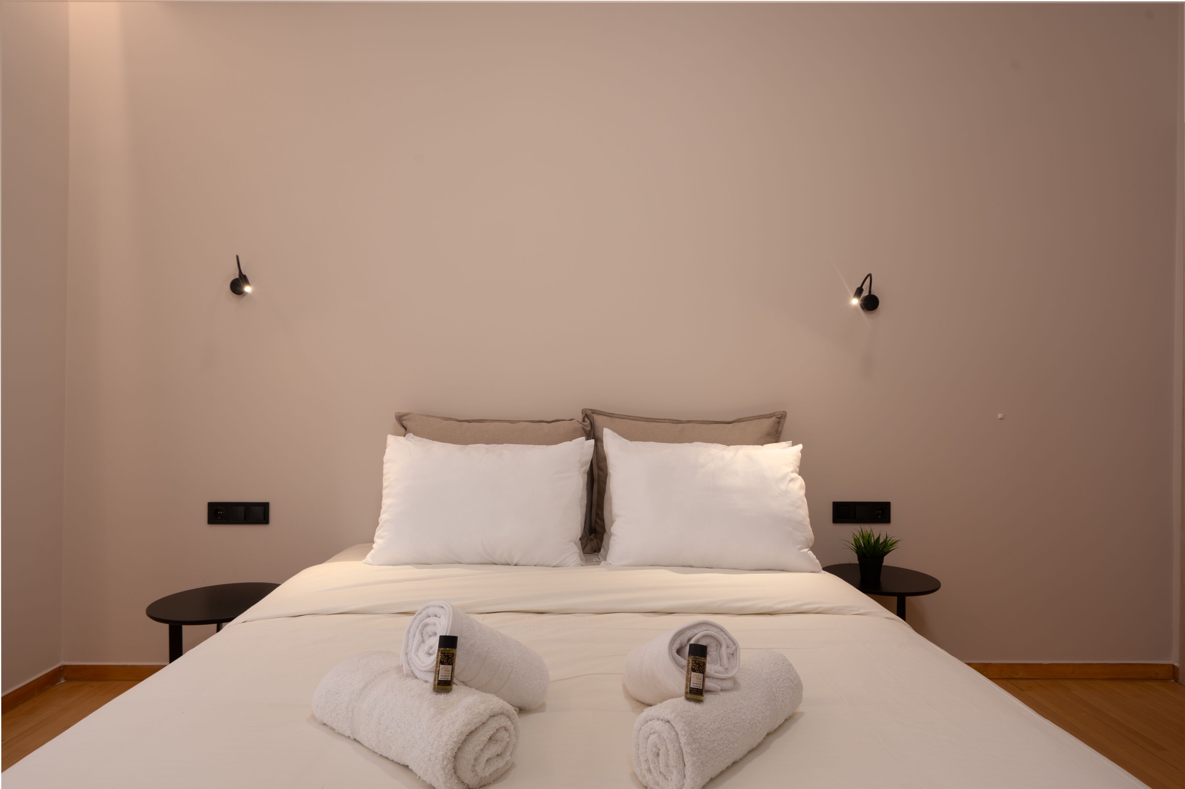 Une chambre d’hôtel avec un grand lit, deux tables de chevet et une petite plante en pot posée sur l’une des tables.