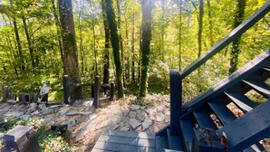 Una scala di legno che conduce in una zona boschiva, con la luce del sole che filtra tra gli alberi.